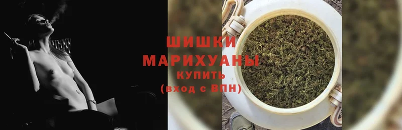 купить  цена  Балашов  Каннабис OG Kush 